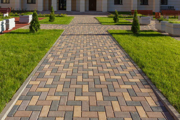 Best Commercial Driveway Pavers  in Magnolia, NC
